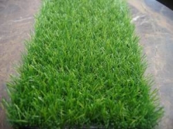 25mm Artificial Grass Manufacturers in Delhi